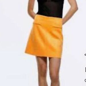 Bundle - 2 zara mini skirts. Micro suede.